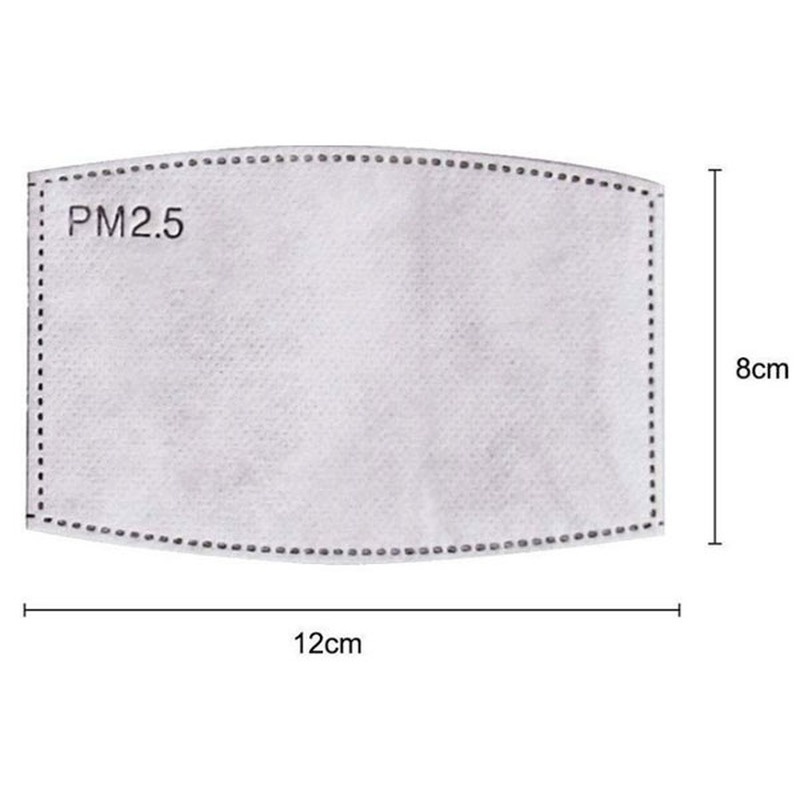2PCS Mask Filter Element PM2.5 - Pm2.5 Filter Insert avaliação e preço